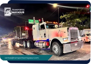 Imagen de MayaSur